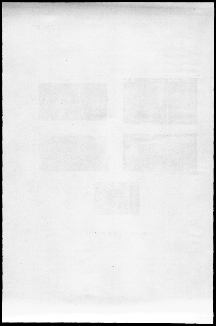 b [135 KB] 