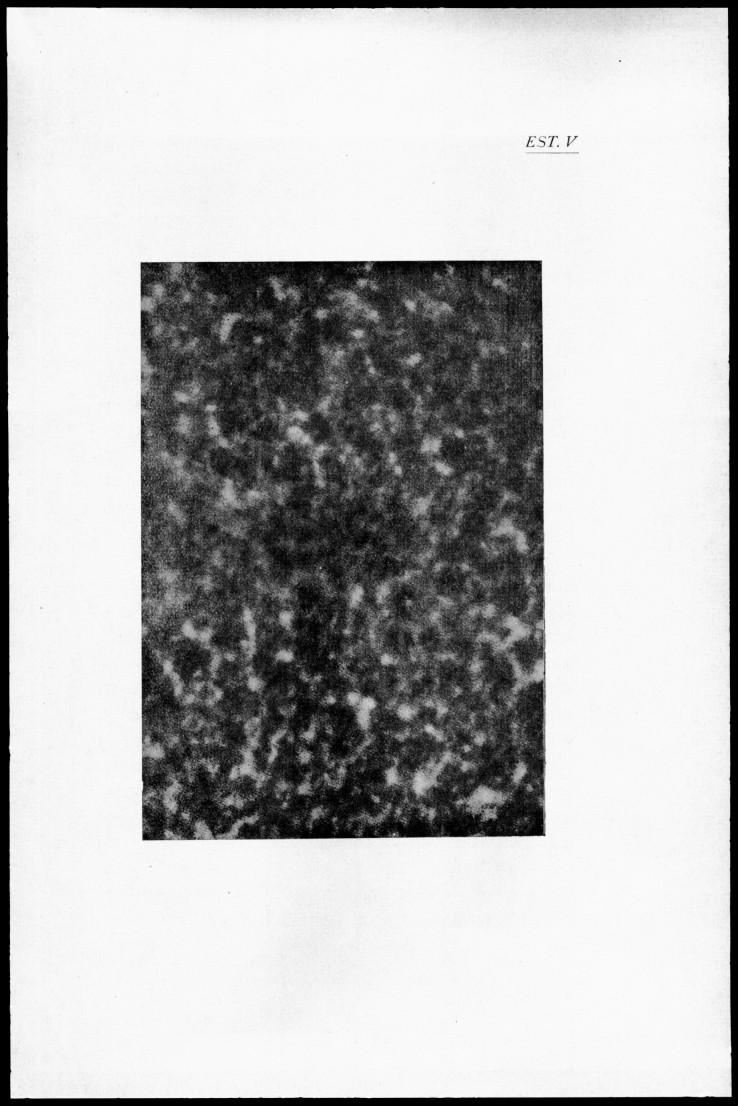est [172 KB] 